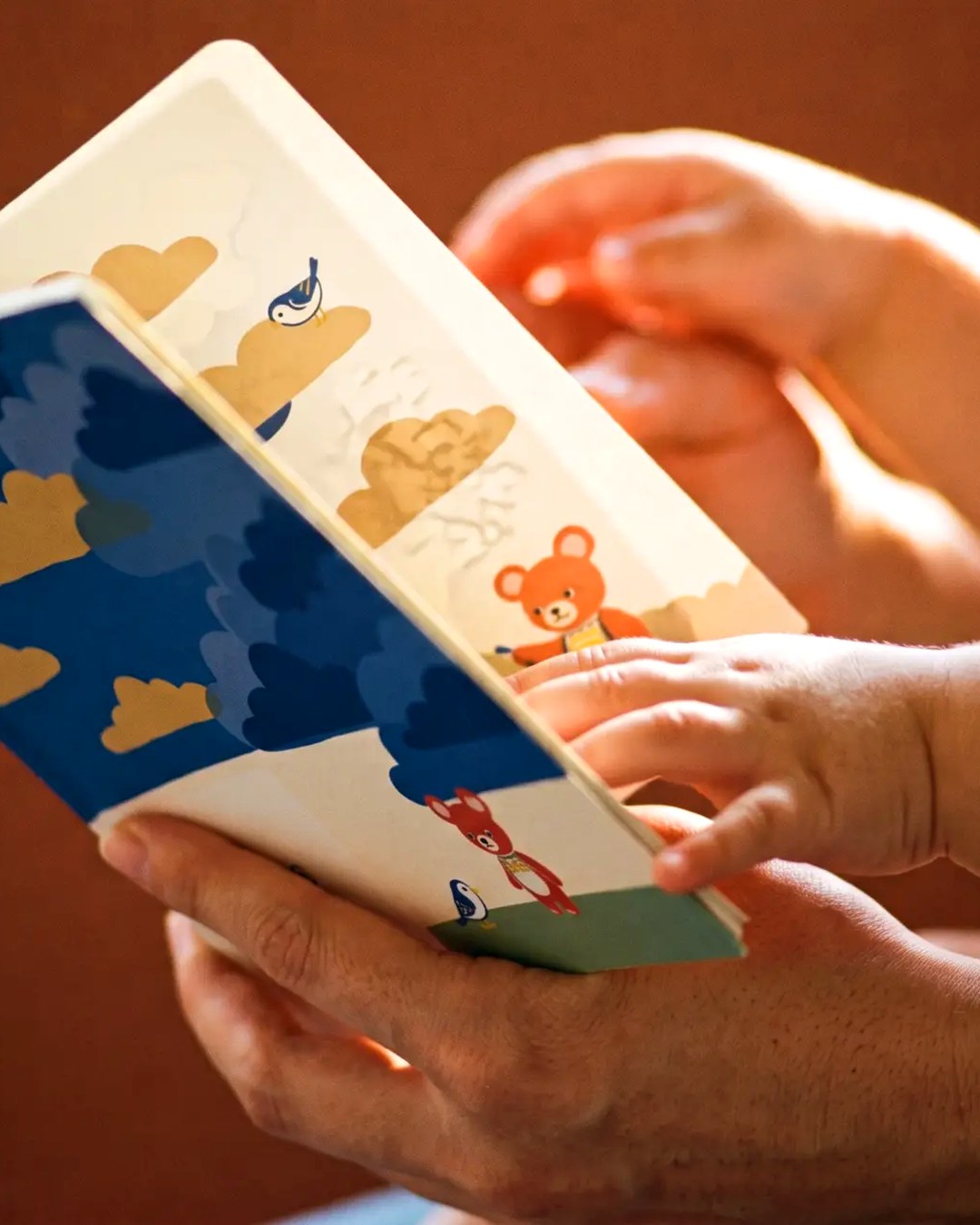 Adult and child hands wrapping a Birdy book as a gift in warm daylight